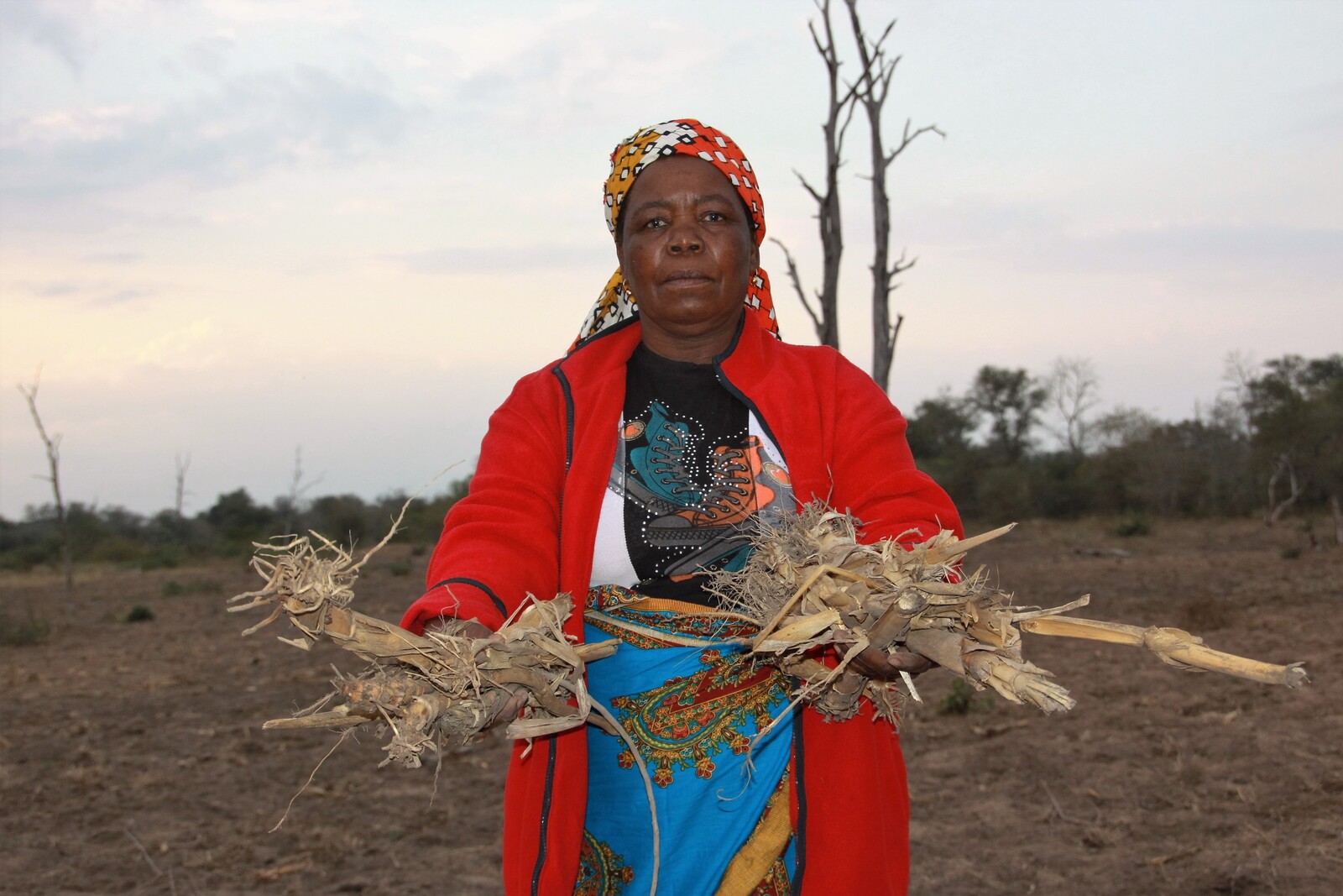 Eine Frau zeigt die vertrockneten Überreste der Früchte auf ihrem Feld. Die Ackerflächen liegen schon seit Monaten brach, eine Hungerkrise droht.