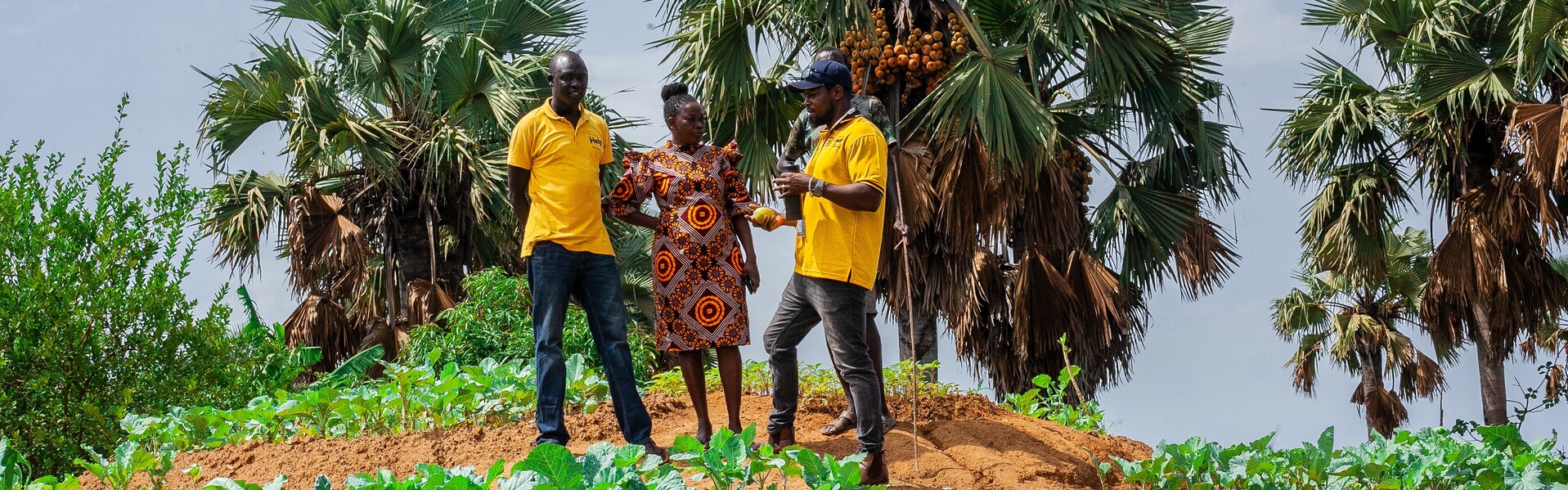 Helfer:innen von Help auf einem Feld im Südsudan