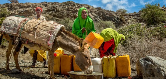 Für sich und ihre Nutztiere holen zwei Frauen frisches Wasser in Somalia.