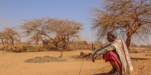 A man in Somalia sits under a tree