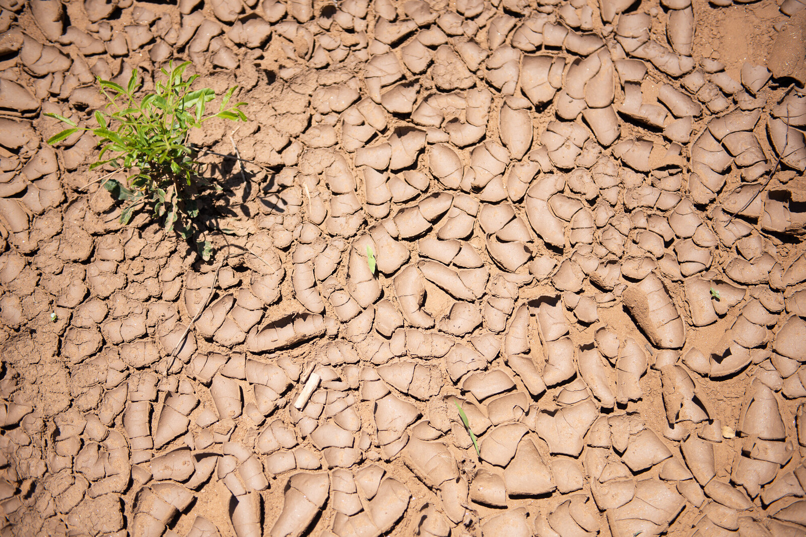 Dürre und Trockenheit als Auswirkung des Klimawandels in Mosambik