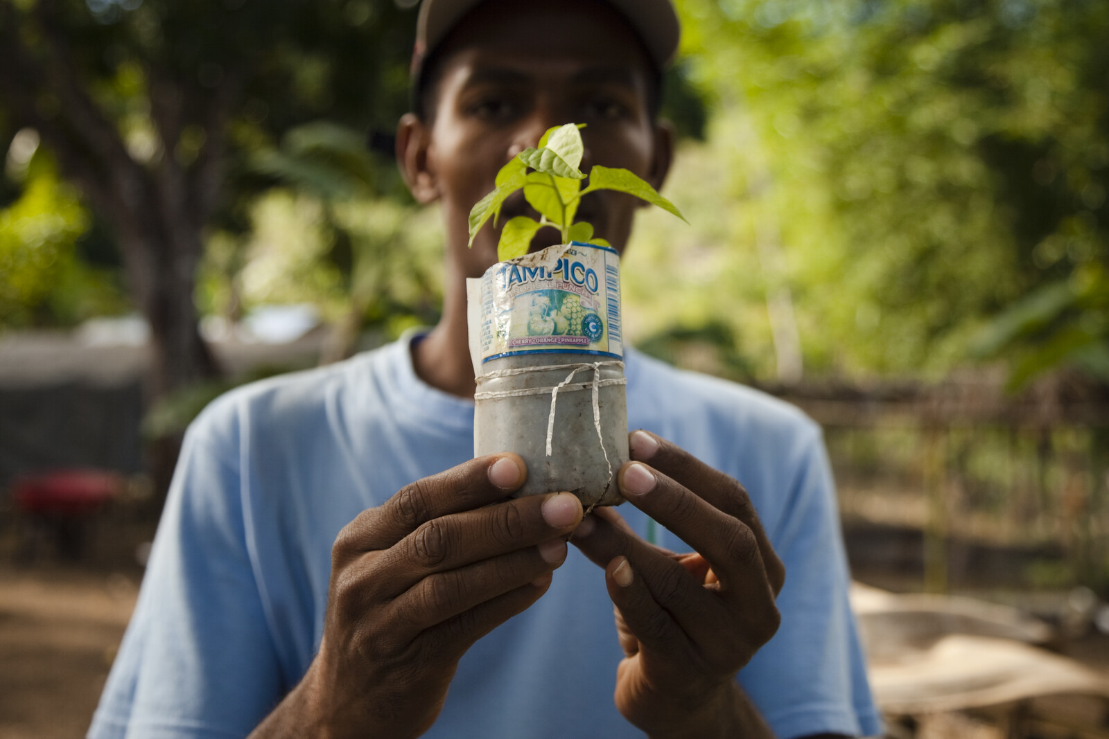 In Haiti war nach dem Erdbeben auch die Ernte kaputt. Ein Mann zeigt einen Pflanzenspross.