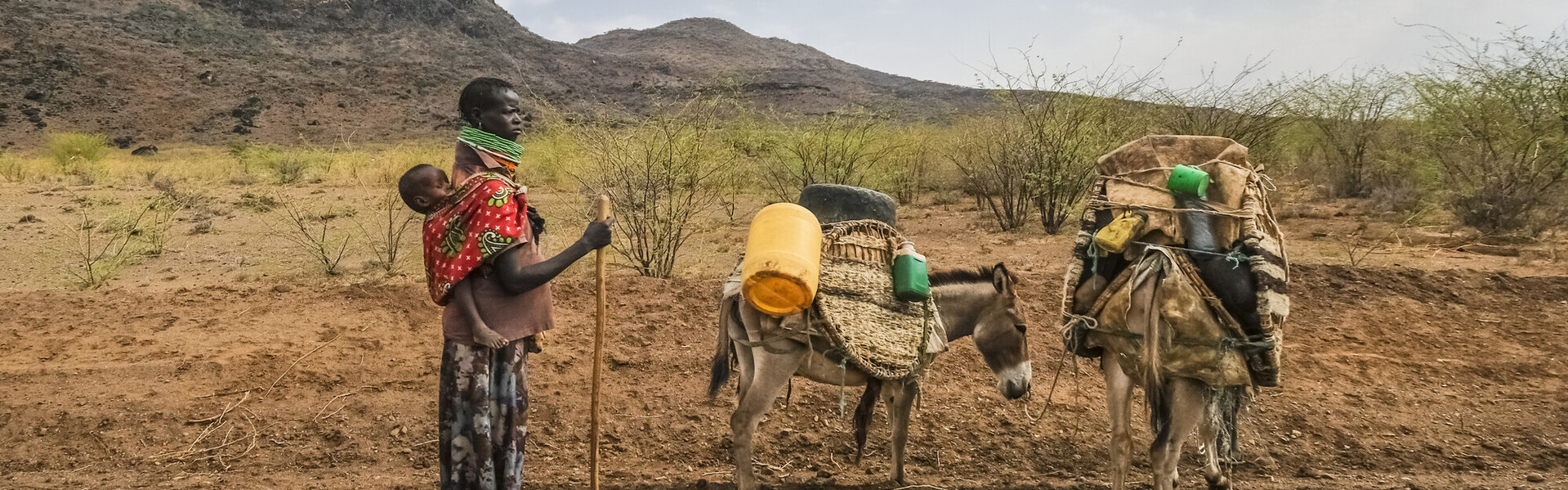 Trockenheit in Kenia: Die Menschen finden immer wenigen zu essen