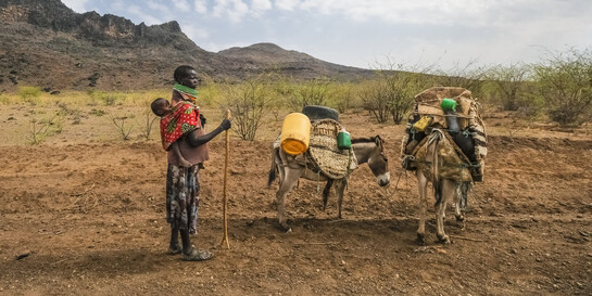 Trockenheit in Kenia: Die Menschen finden immer wenigen zu essen