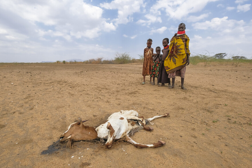Menschen in einer verdorrten Gegend Kenias Menschen in einer verdorrten Gegend Kenias