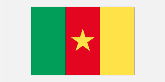Flagge Kamerun
