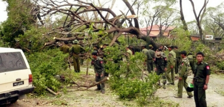 Zyklon Myanmar: Beseitigung umgestürtzter Bäume