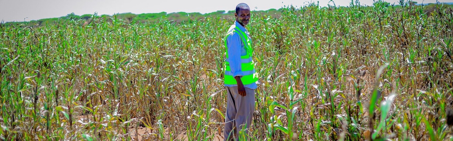 Ein Mann steht in einem Feld in Somalia