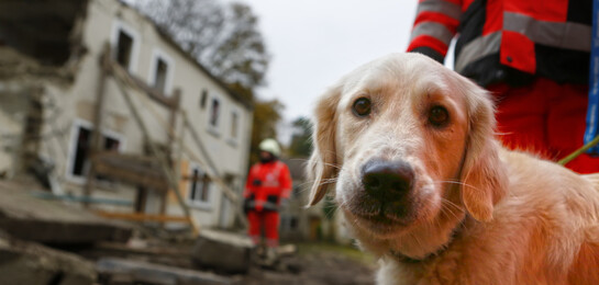 Die Suche nach Leben