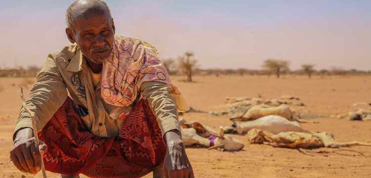 In Somalia sind viele Menschen von Dürre betroffen In Somalia sind viele Menschen von Dürre betroffen