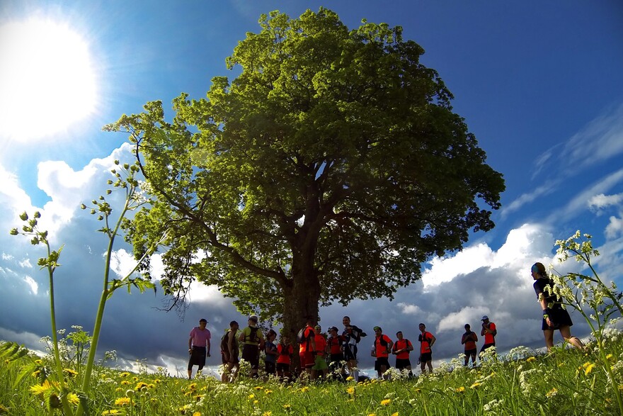 Das Wetter beim Spendenlauf war herrlich.