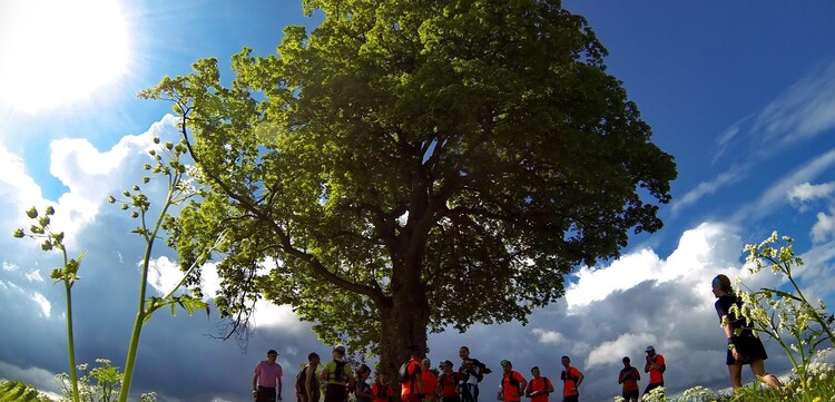 Das Wetter beim Spendenlauf war herrlich.