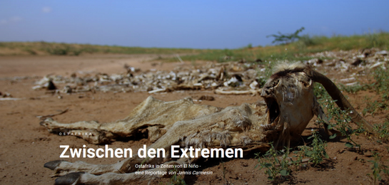 Jannis Carmesin:Ostafrika zwischen den Extremen