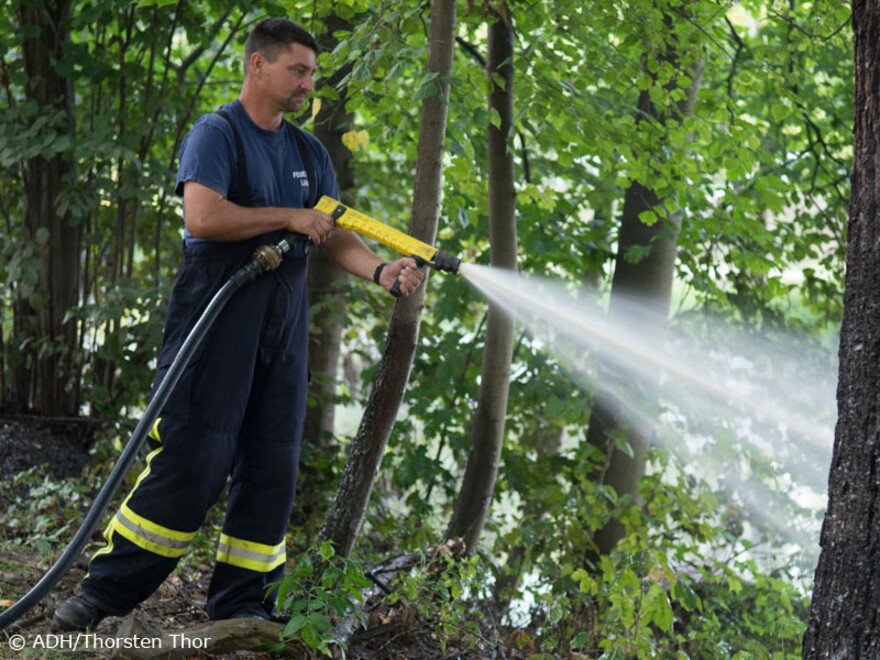 091-bs-hochwasser-okt-91 Bei erfolgreicher Anwendung werden sich Pflanzen und Tiere dort schneller wieder ansiedeln als in unbehandelten Gebieten.