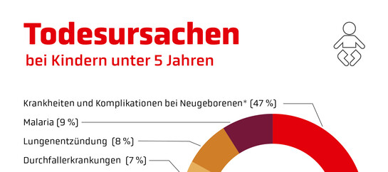 Infografik: Todesursachen bei Kindern unter 5 Jahren