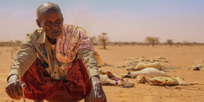 Landwirte wie dieser Mann in Somalia leben bereits mit den Folgen des Klimawandels Landwirte wie dieser Mann in Somalia leben bereits mit den Folgen des Klimawandels