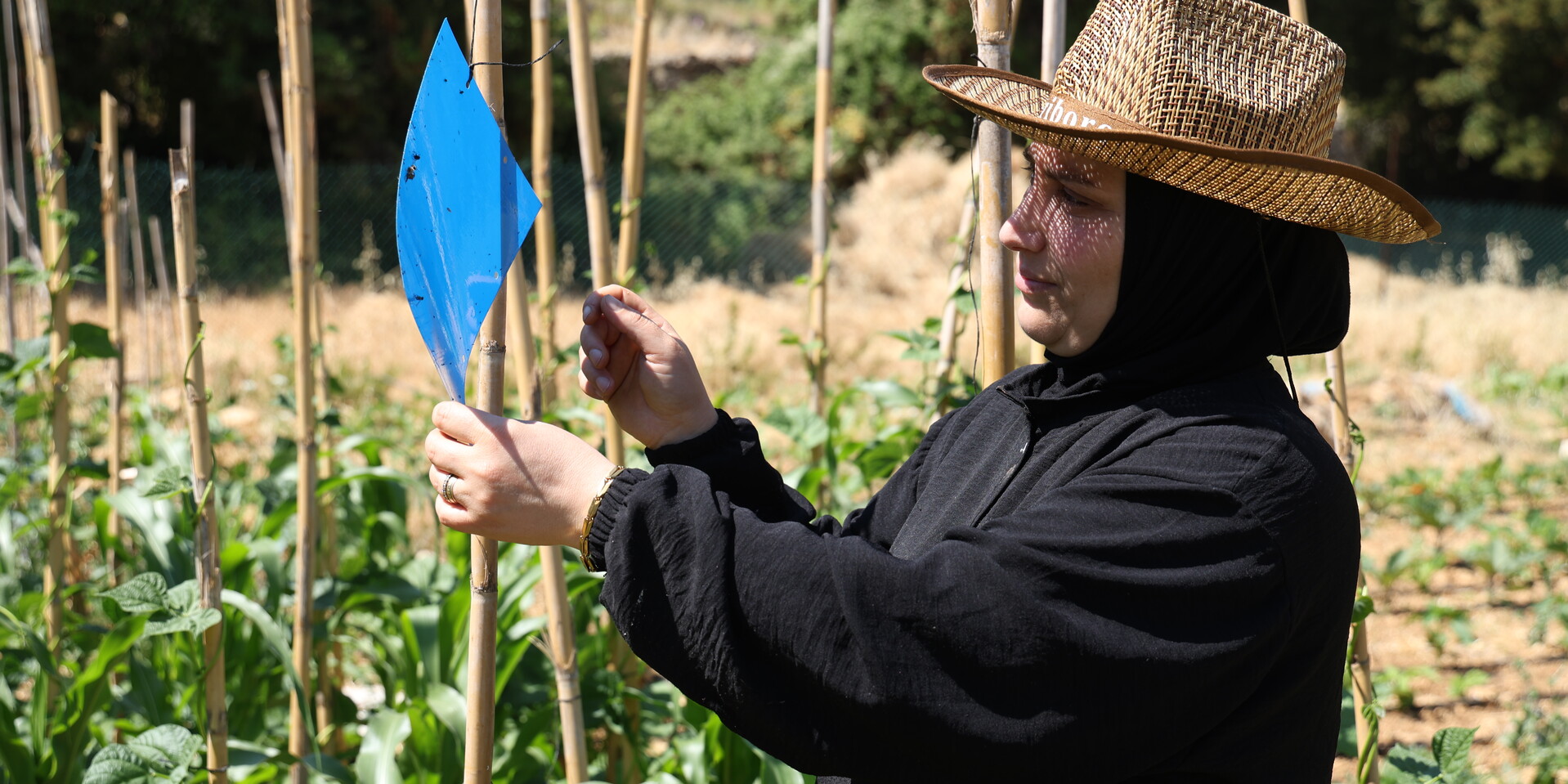 Amira steht auf ihrem Feld im Nordlibanon, im Hintergrund sind Pflanzen zu sehen