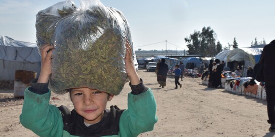 Ein Kind in Syrien trägt einen Sack mit Moringa auf dem Kopf