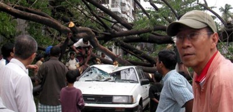 Zyklon Myanmar: Vom Baum zerstörtes Auto