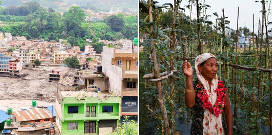 Eine Collage zeigt die Zerstörung nach der Flut in Nepal, eine Frau, die vor einem Feld steht und eine Frau mit einem Kind