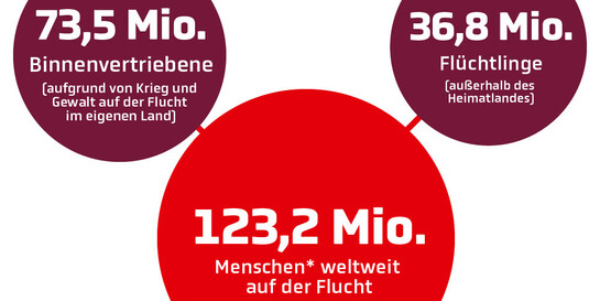 Grafik: Zahlen zu Flüchtlingen weltweit (Stand Ende 2024)