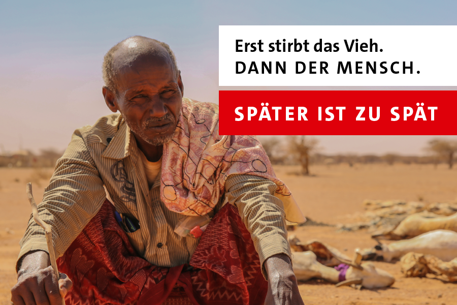 Gemeinsam gegen den Hunger: Bündnisse rufen zu Spenden auf Gemeinsam gegen den Hunger: Bündnisse rufen zu Spenden auf