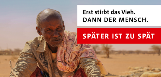 Gemeinsam gegen den Hunger: Bündnisse rufen zu Spenden auf