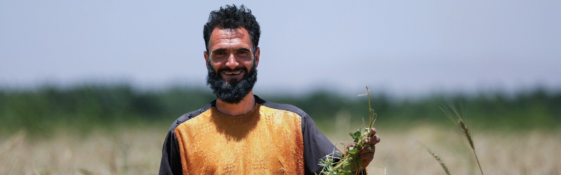 Ein Mann in Afghanistan steht in einem Weizenfeld