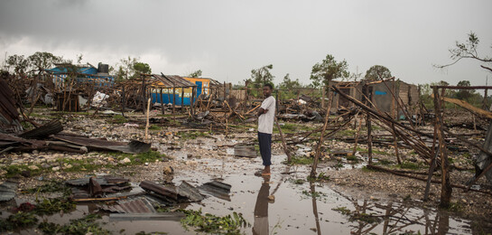 Ein Mann auf Haiti steht auf von Hurrikan Matthew zerstörten Feldern.