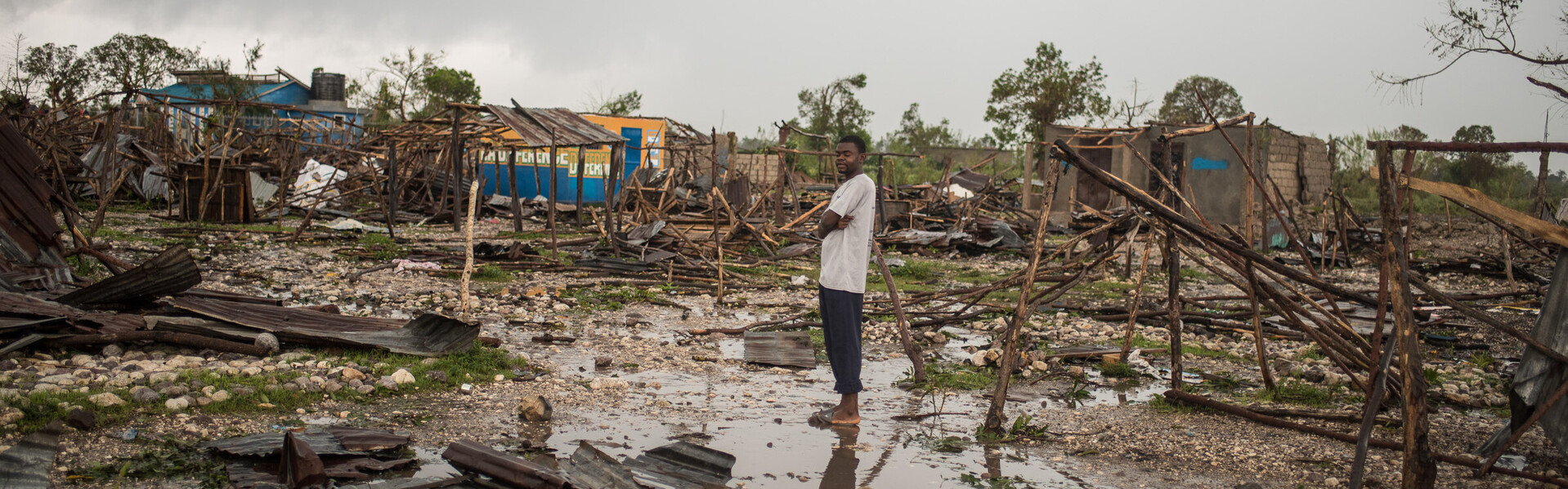 Ein Mann auf Haiti steht auf von Hurrikan Matthew zerstörten Feldern.