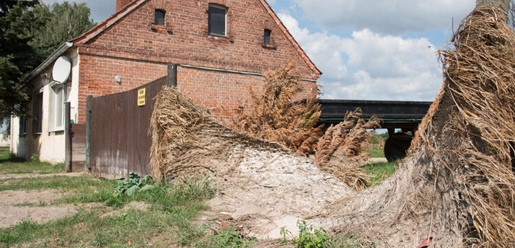 040-bs-hochwasser-okt-40 Noch immer sieht man deutlich, mit welcher Wucht sich das Wasser seinen Weg gebahnt hat