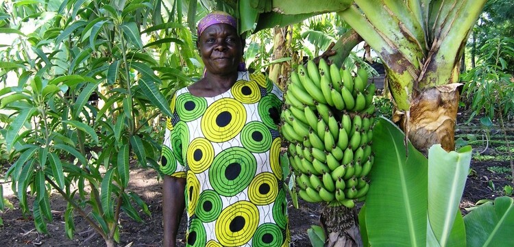 Eine Bäuerin in Kenia hält eine Bananenstaude hoch