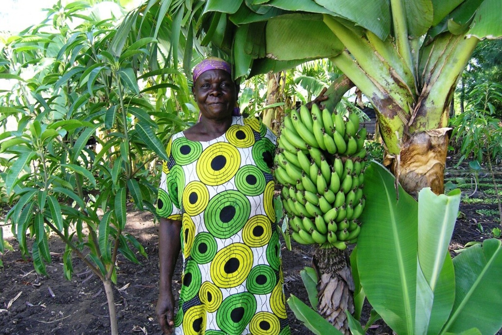 Eine Bäuerin in Kenia hält eine Bananenstaude hoch