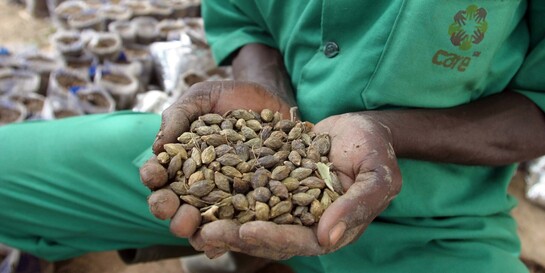 Ein Mann im Sudan hält Samen in der Hand