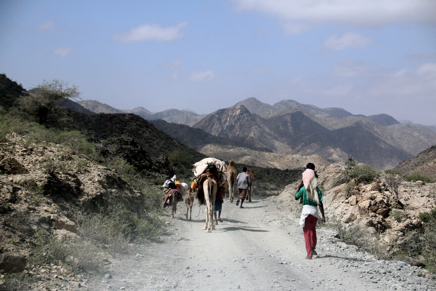 Kenia Somalia Migration Menschen Esel Mann Dürre