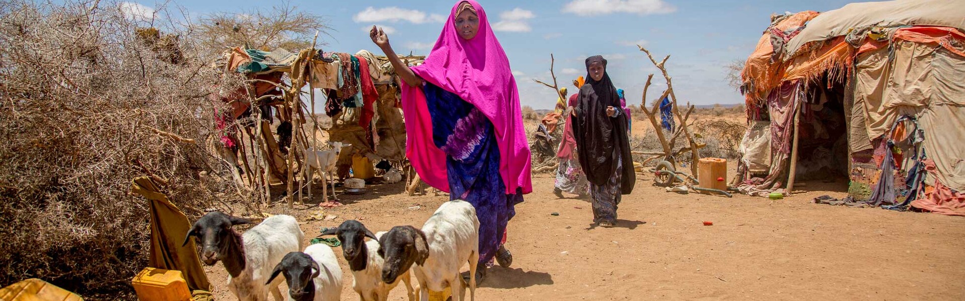Eine Frau in Somalia mit ihrer Viehherde