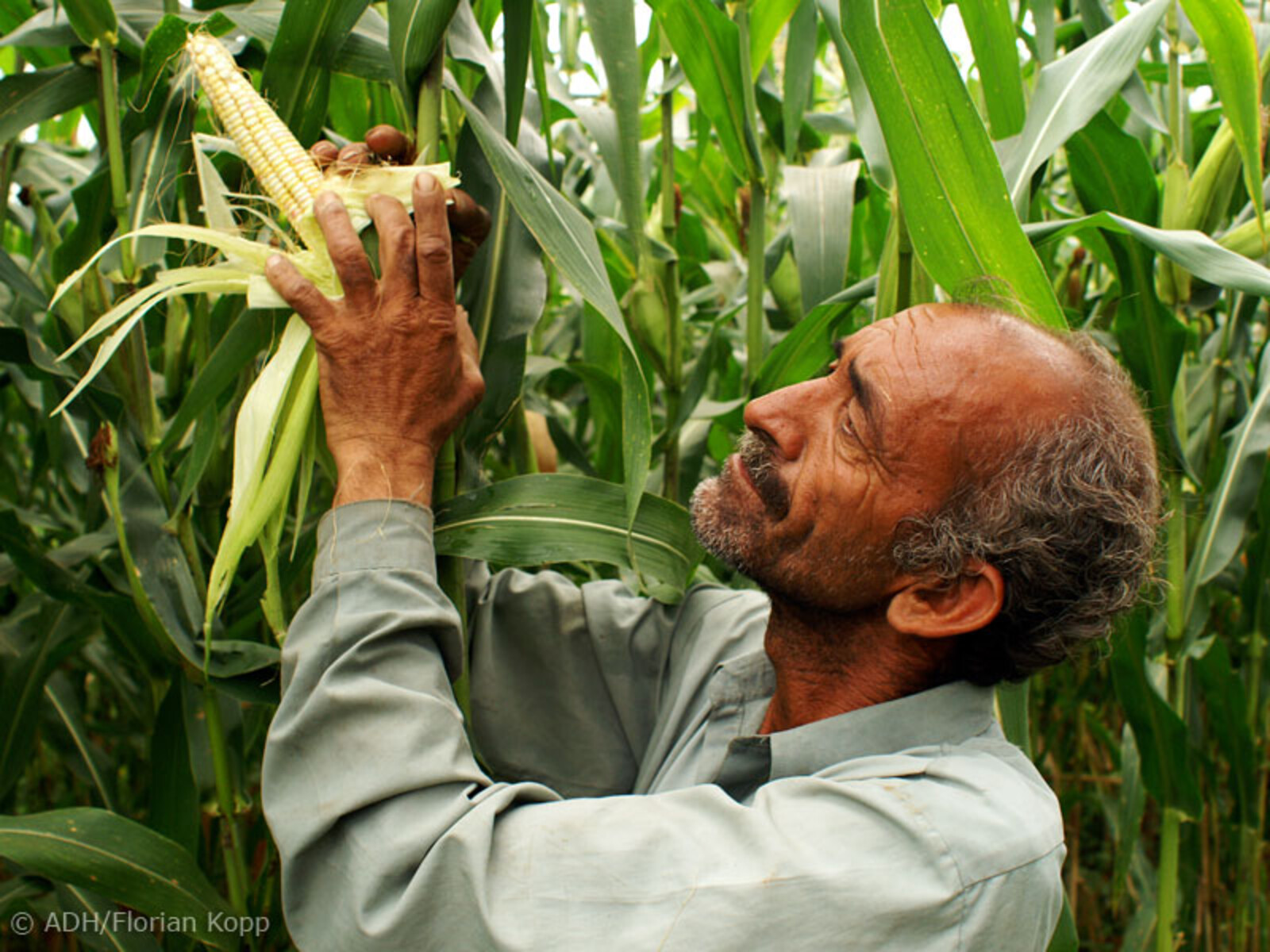 In einem Landwirtschaftsprojekt in Pakistan
