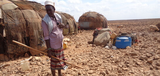 Ein Mann steht in Kenia in der Dürre Afrikas. Im Vordergrund liegt eine tote Ziege