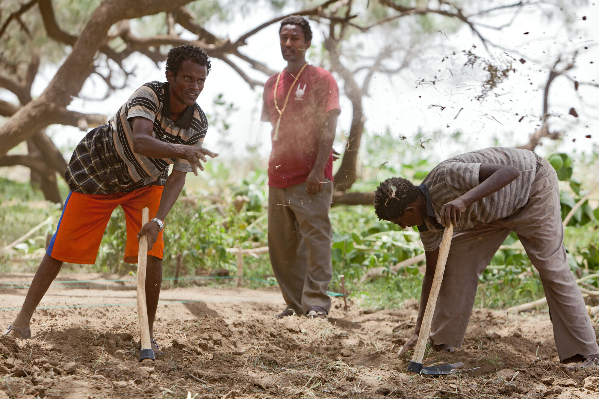 Männer in Afrika bei der Landwirtschaft