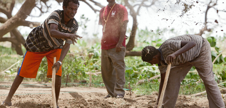 Männer in Afrika bei der Landwirtschaft Männer in Afrika bei der Landwirtschaft