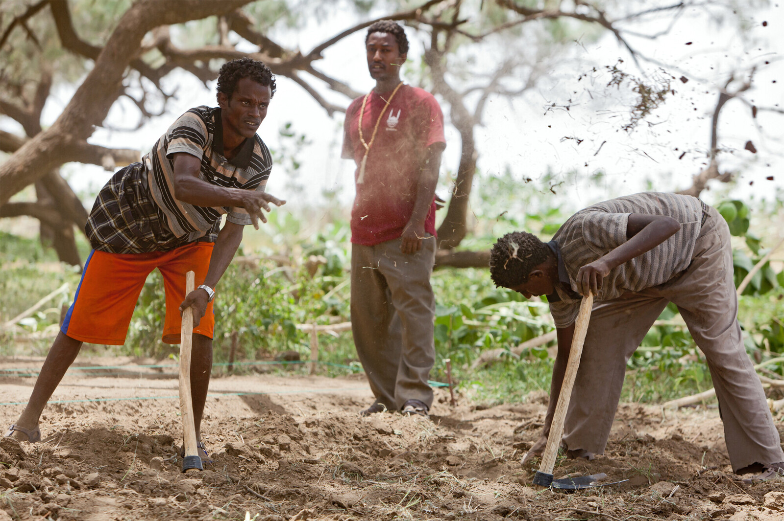 Männer in Afrika bei der Landwirtschaft