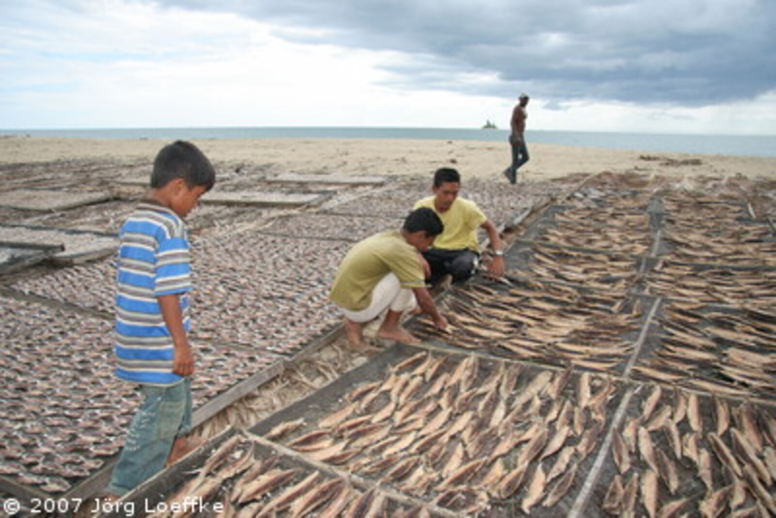 Tsunami-Hilfe Indonesien: Fische liegen am Strand von Susoh zum trocknen