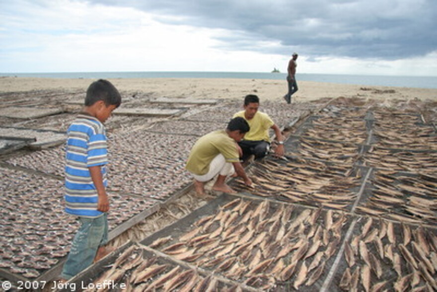 Tsunami-Hilfe Indonesien: Fische liegen am Strand von Susoh zum trocknen