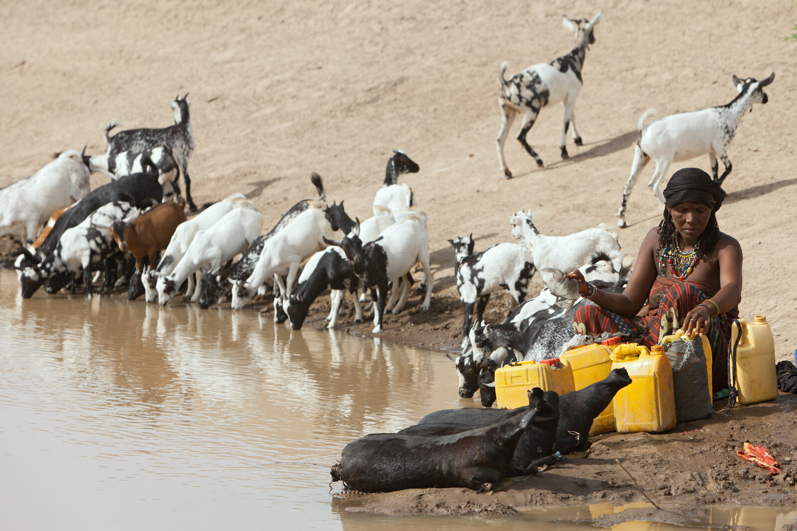 Wasserlöcher sind häufig durch Vieh und Waschmittel verseucht. Dennoch holen die Menschen dort ihr Trinkwasser.