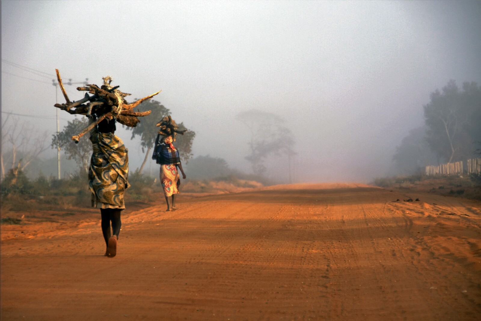 Frauen tragen Brennholz durch die karge Landschaft. Damit verdienen sie ein paar zusätzliche Cent, um ihre Familien zu ernähren.