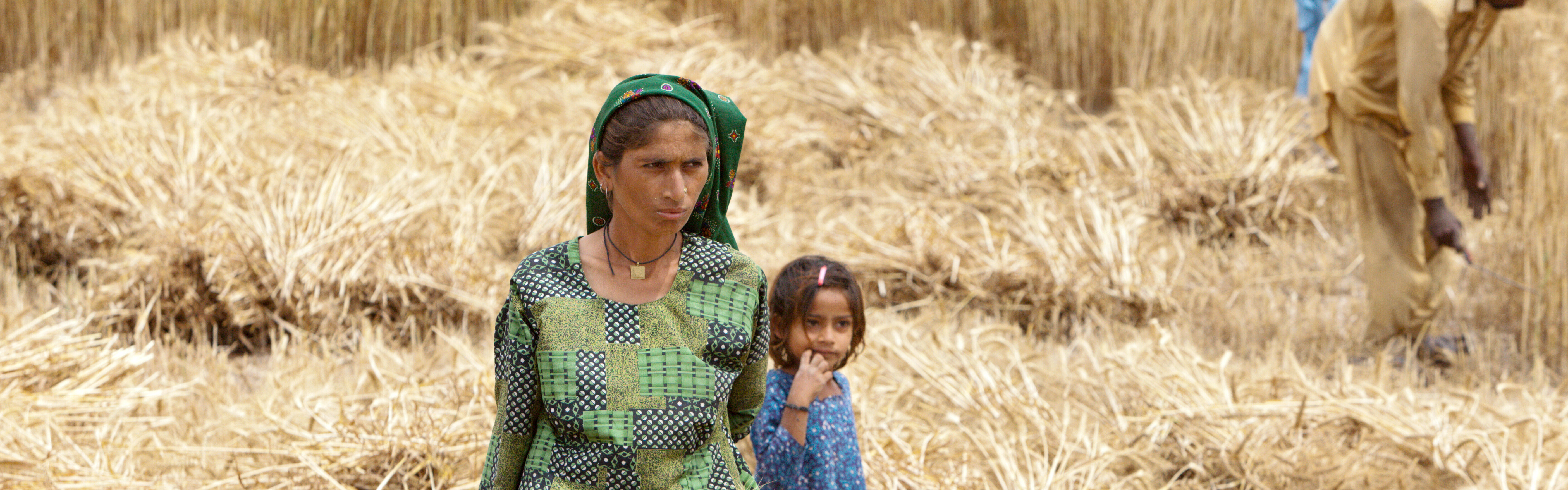 In Pakistan waren nach Überflutung und Erdbeben viele Felder zerstört. Eine Frau steht mit ihrem Mädchen in einem erntereifen Feld.
