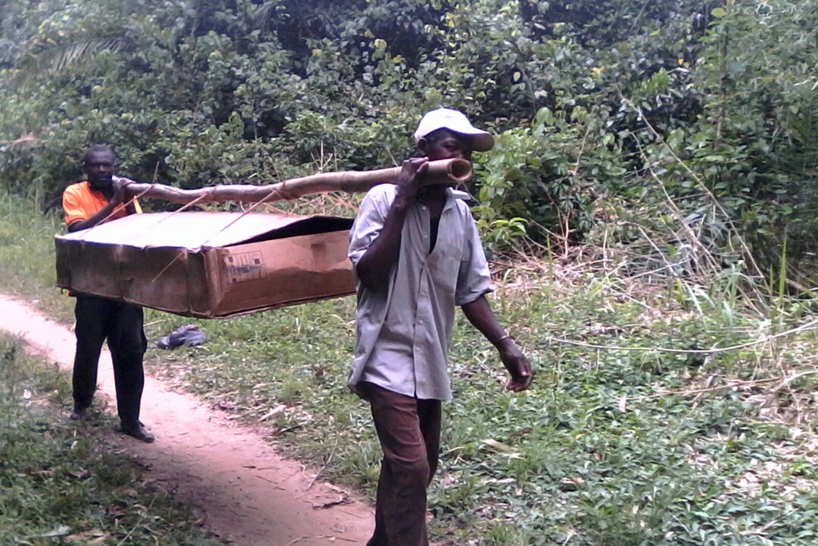 Männer tragen auf einem Bambusrohr ein Paket mit Medikamenten durch den Dschungel der DR Kongo