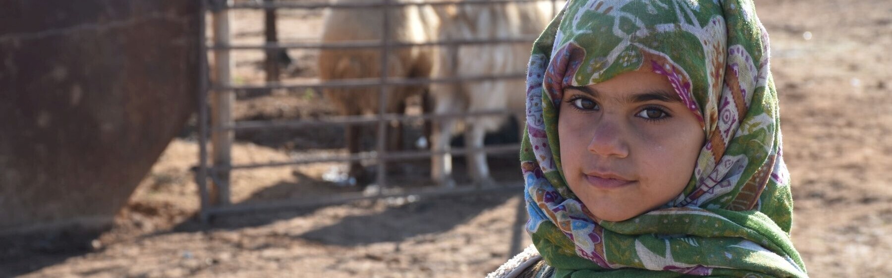 Ein Mädchen aus Syrien blickt in die Kamera