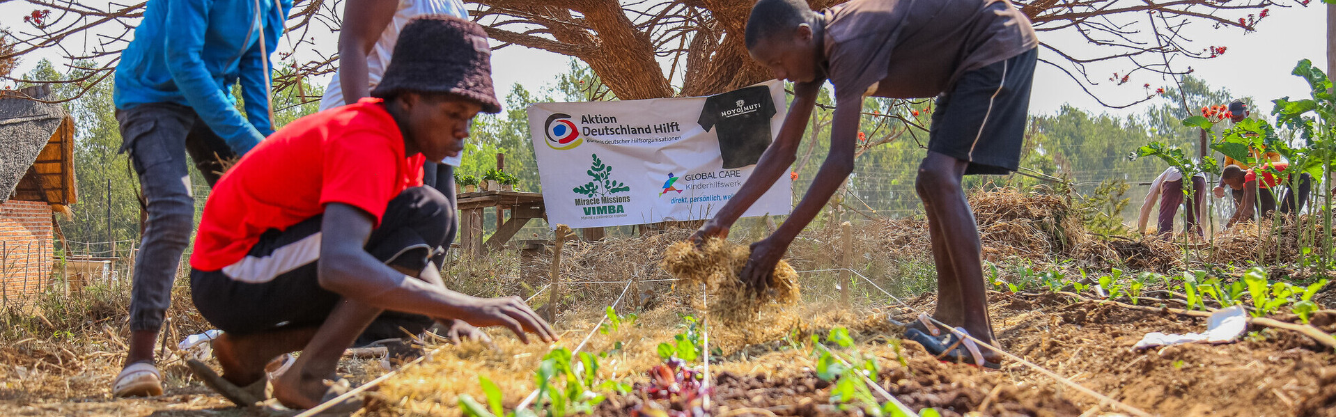 Kinder und Jugendliche in Simbabwe arbeiten an einem Feld (Symbolfoto)