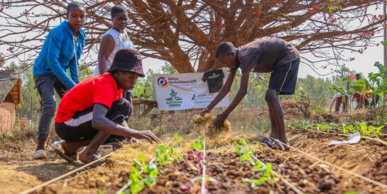 Kinder und Jugendliche in Simbabwe arbeiten an einem Feld
